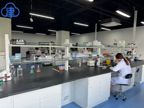 生态城绿色健康产业蓄势跃升 以技术创新驱动可持续发展